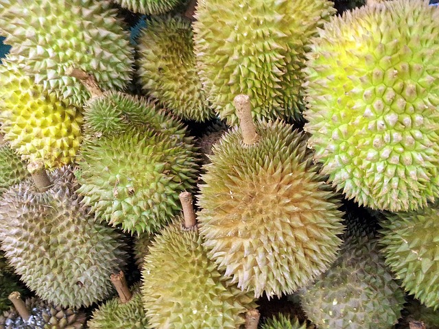 Durian capital berhad