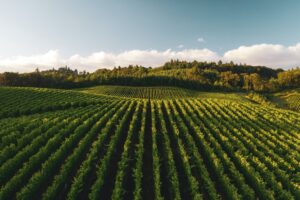 4 Types of Farmland Investments